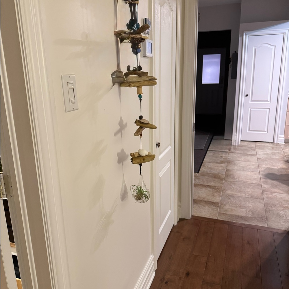 Rustic Driftwood Hanging Shelf with Air Plant